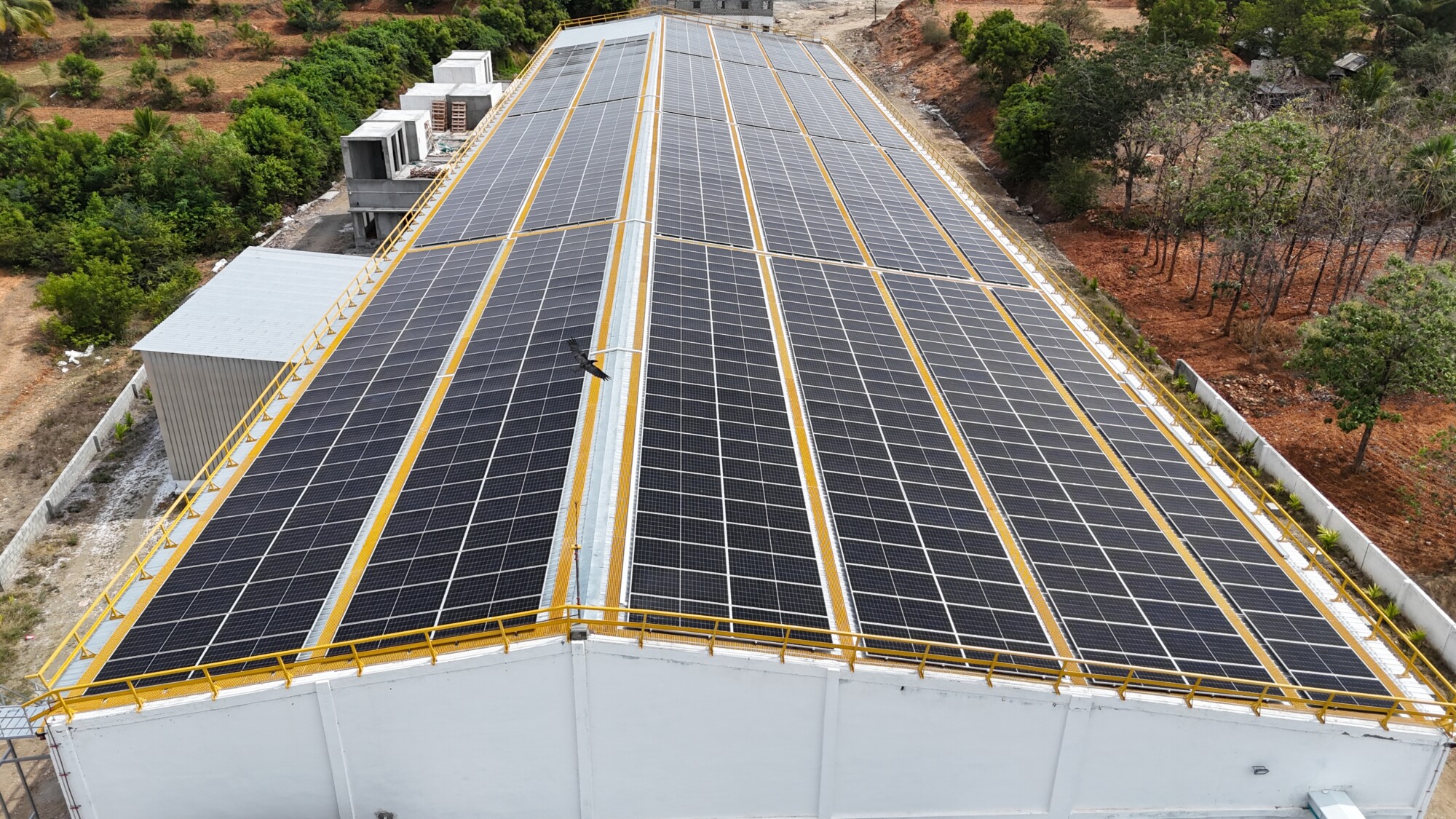 DJI_20250724101306_0244_D